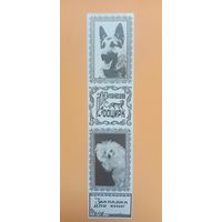 Закладка для книг