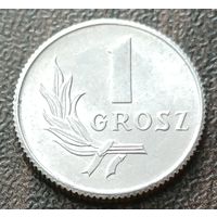 Польша 1 грош, 1949    ( 1-1-4 )