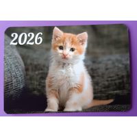 Рыжик. Котенок. Календарик, глянец, 2026.ТРАСКО