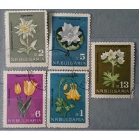 Болгария цветы 5шт