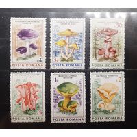 Румыния. 1986 год. Флора. Грибы (970)