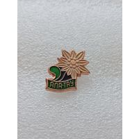 Туризм. Ала Тау. Эдельвейс. #-VI-07