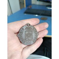 Сельский староста