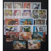 Азия, Европа. Марки 70-80-х гг. Собаки,домашние животные. Одним лотом с 1р без МЦ.(3)