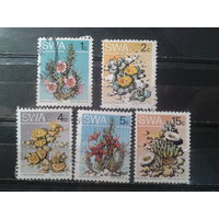 Юго-западная Африка, 1973. Пустынные растения