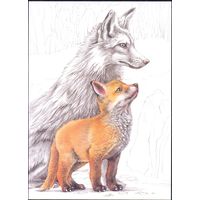 Беларусь 2020 фауна рисунок лиса и лисёнок