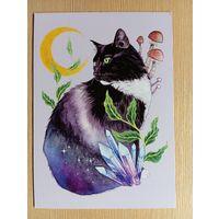 О-12. ПОДПИСАННАЯ ОТКРЫТКА. ГЕРМАНИЯ. ГРИБНОЙ КОТ.