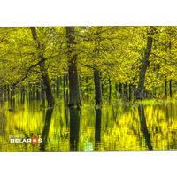 Планета Беларусь, река Ствига, правый приток Припяти, 2019, тираж 1000 экз.