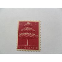 Нидерланды 1943г