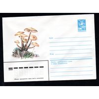 Художественный маркированный конверт СССР N 15879 (27.09.1982) Водяной гиацинт