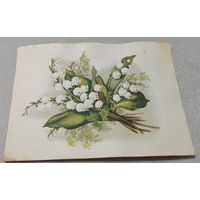 Ландыши. Филателистическая контора, 1955, Таллинн, маркированная, чистая