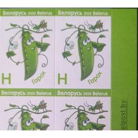 Беларусь 2020 Мл.лист, зак.180-2022, Разновидность. Смещение черного цвета вправо, образует двойное изображения очертания рисунка на всех марках.