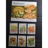 Афганистан 1998 г. Грибы.