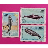 Куба. Фауна. ( 3 марки ) 1984 года. 7-3.