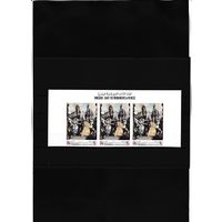 Спасти и сохранить венецианское искусство. ЮНЕСКО. Йемен. Королевство.