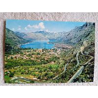 Черногория, Котор