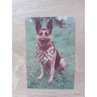 Календарик 1993