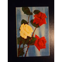 Желаем счастья!  Розы.  1971 г.  подписанная.  двойная.