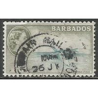 Барбадос. Королева Елизавета II. Летающая рыба. 1953г. Mi#210.