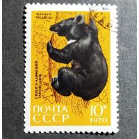 Марка СССР 1970 год Сихотэ-Алинский заповедник