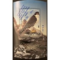 Таджикистан 2016 Фауна Хищные птицы. Надпечатка на блоке Блок  MNH