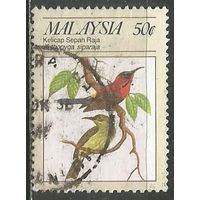Малайзия. Птицы. Желтоспинная нектарница. 1988г. Mi#382.