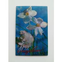 Стереофото В.Емельянова Поздравляю!. 1980 г. Чистая