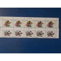 Беларусь 2004 верхняя полоска пчёлы