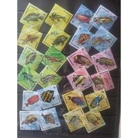 Бурунди. 1974. Рыбы