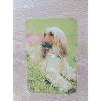 Календарик 1991