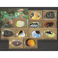 ФФ2 Фуджейра 1972 Рыбы