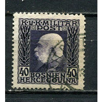 Босния и Герцеговина (Австро-венгерская администрация) - 1912/1914 - Кайзер Франц Иосиф I 40H - [Mi.75] - 1 марка. Гашеная.  (Лот 9JC)-TG3P59