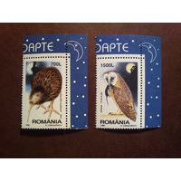 Румыния 1998 г.Ночные птицы./1б/