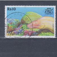 [849] Маврикий 2000. Фауна.Рыба.10 R. Гашеная марка.