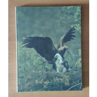 Спатканне з лесам. Фотоальбом