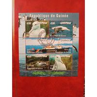 1998 Гвинея фауна птицы флот (3-4)