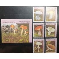 Республика Гвинея. 1996 год. Флора. Грибы. Блок и 6 марок (991)