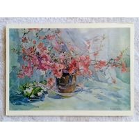 Цветкова. Японская айва