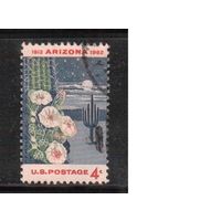 США-1962, (Мих.819) , гаш. ,Штат Аризона, Цветы (одиночка)