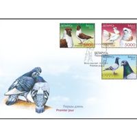 КПД "Голуби", 2011