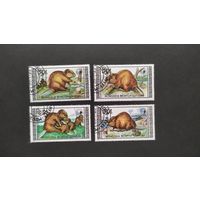 Лот 9 разные марки