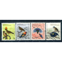 Британские колонии - Папуа Новая Гвинея - 1964/65г. - птицы - 4 марки - гашёные. #3-WB-96-A-1