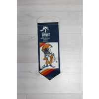 Вымпел, Минск - 1990, чемпионат мира, биатлон.