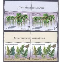 Беларусь 2012 флора