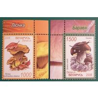 2008 Грибы съедобные Беларусь