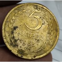 5 копеек 1955