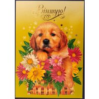 Віншую! Белорусь. 2005 г.