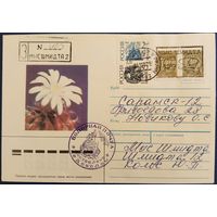 Полярная почта. Доставлено ледоколом. 1992 г.