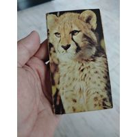 Кошелёк из 90х