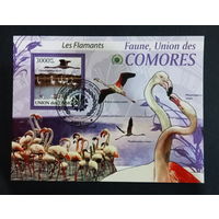 ЛИСТ ФАУНА ПТИЦЫ  СТО